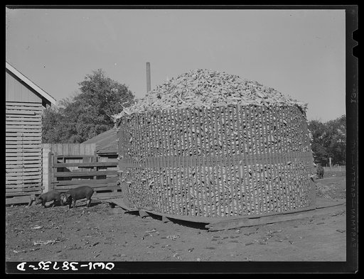 Untitled photo, possibly related to: Miscellaneous lot of photographs by Barbara Wright, e.g. University of Virginia, Franconia, New Hampshire, Maine. Corn crib. Iowa