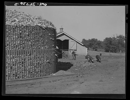 Untitled photo, possibly related to: Miscellaneous lot of photographs by Barbara Wright, e.g. University of Virginia, Franconia, New Hampshire, Maine. Corn crib. Iowa