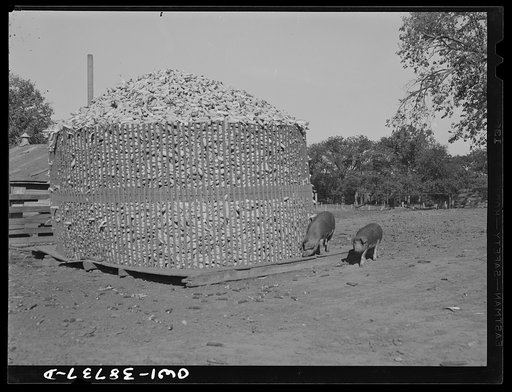 Miscellaneous lot of photographs by Barbara Wright, e.g. University of Virginia, Franconia, New Hampshire, Maine. Corn crib. Iowa