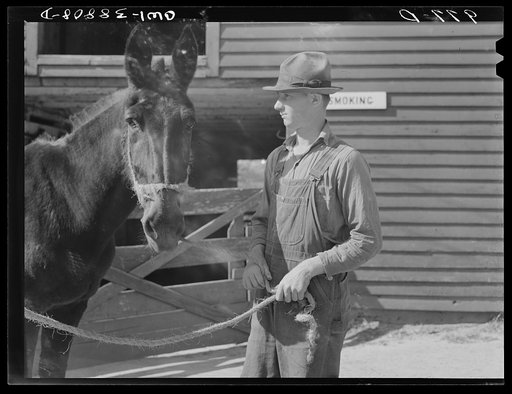 Miscellaneous lot of photographs by Barbara Wright. National Youth Administration (NYA), Works Progress Administration (WPA) and Civilian Conservation Corps (CCC)