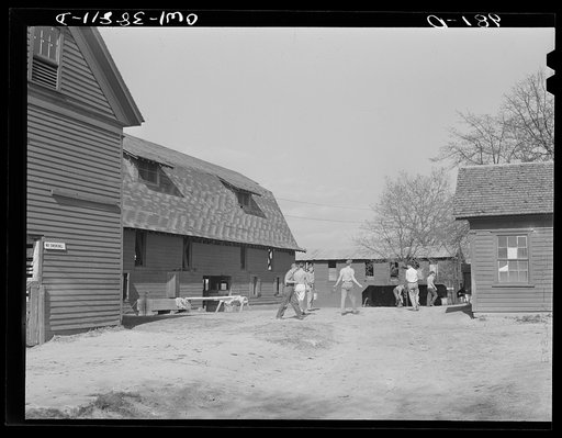 Miscellaneous lot of photographs by Barbara Wright. National Youth Administration (NYA), Works Progress Administration (WPA) and Civilian Conservation Corps (CCC)