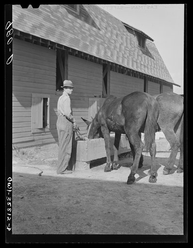 Miscellaneous lot of photographs by Barbara Wright. National Youth Administration (NYA), Works Progress Administration (WPA) and Civilian Conservation Corps (CCC)