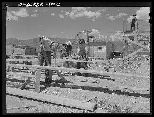 Miscellaneous lot of photographs by Barbara Wright. National Youth Administration (NYA), Works Progress Administration (WPA) and Civilian Conservation Corps (CCC)