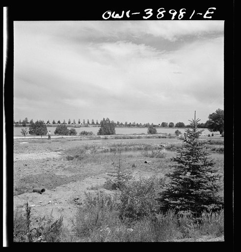 Untitled photo, possibly related to: Miscellaneous lot of photographs by Barbara Wright. National Youth Administration (NYA), Works Progress Administration (WPA) and Civilian Conservation Corps (CCC). Fish hatcheries, a public park NYA project near Cheyenne, Wyoming