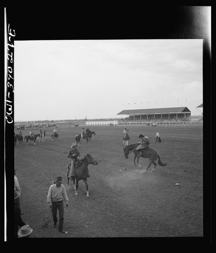 Washington, D.C. Students at Woodrow Wilson High School