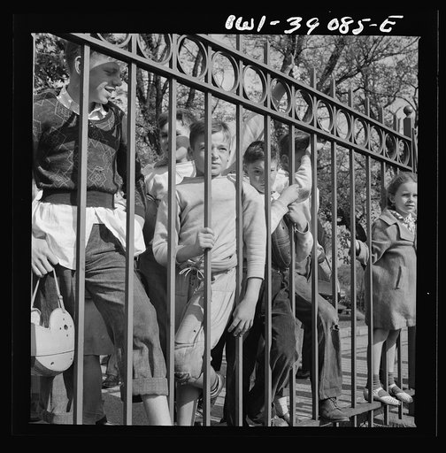 Washington, D.C. Young football fans, unable to finance a ticket to the Woodrow Wilson High School-Georgetown Preparatory School game, watching it through the fence at Woodrow Wilson High School