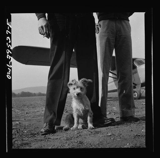 Frederick, Maryland. Greaseball, a mascot at the Stevens Airport