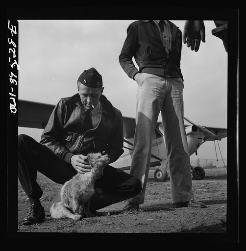 Frederick, Maryland. A student pilot removing burrs from Greaseball, a mascot at the Stevens Airport