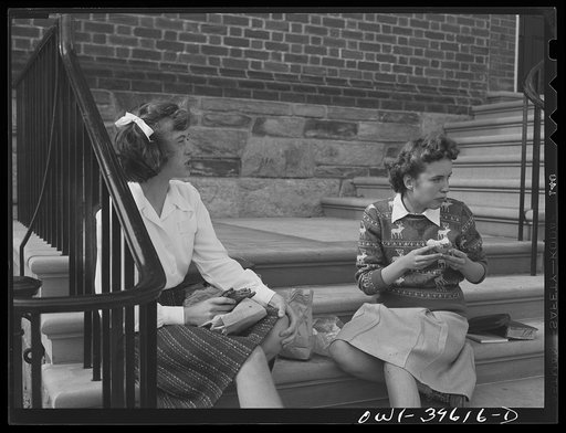 Washington, D.C. Sally Dessez eating lunch with a friend. They bring sandwiches from home and, weather permitting, eat on the steps of the Woodrow Wilson High School
