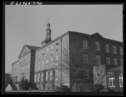 Untitled photo, possibly related to: Washington, D.C. Woodrow Wilson High School at 9:15 a.m.