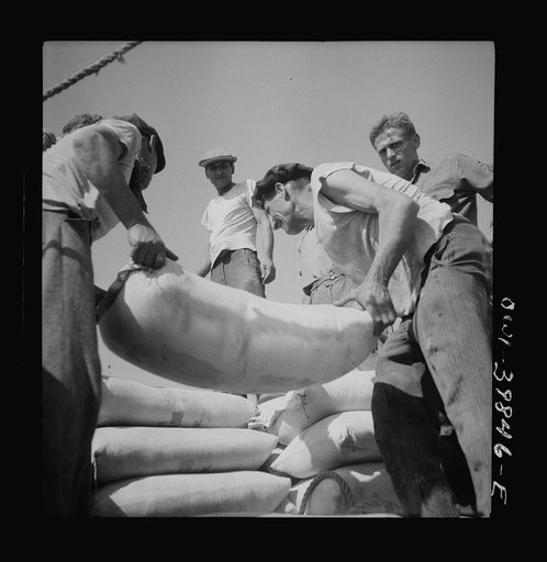 Messina, Sicily. Unloading American white flour from an Italian schooner