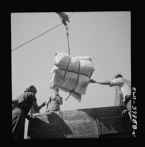 Messina, Sicily. Unloading American white flour from an Italian schooner to help relieve the shortage here