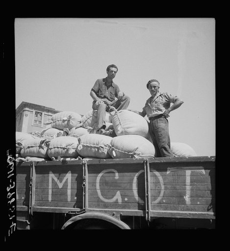 Catania, Sicily. The Allied military government supplies flour for the towns hardest hit by war after all local sources have been exhausted