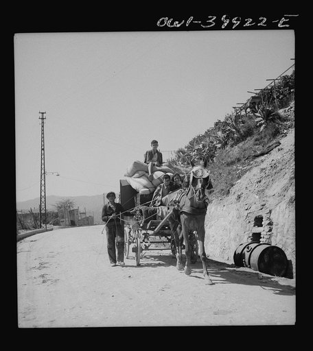 Messina (vicinity), Sicily. People returning to their homes after the Germans left