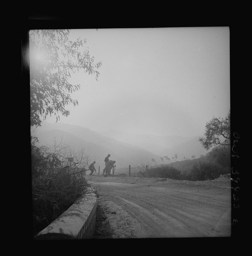 Repairing Sicilian roads. The Germans in retreat demolished most of the main highways. Allied military is working around the clock in an effort to repair them