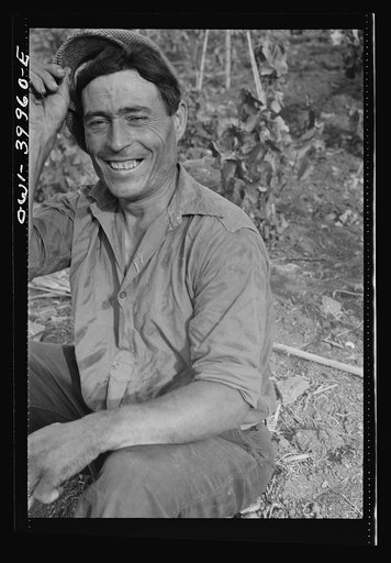 A Sicilian farmer