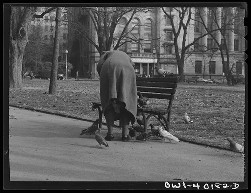 Washington, D.C. In Lafayette Park, feeding the pigeons