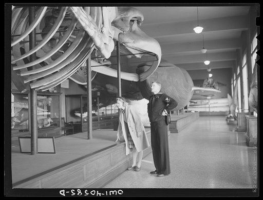 Washington, D.C. Hugh and Lynn Massman sightseeing on their first day in Washington. Their baby is being taken care of in the nursery at the United Nations service center