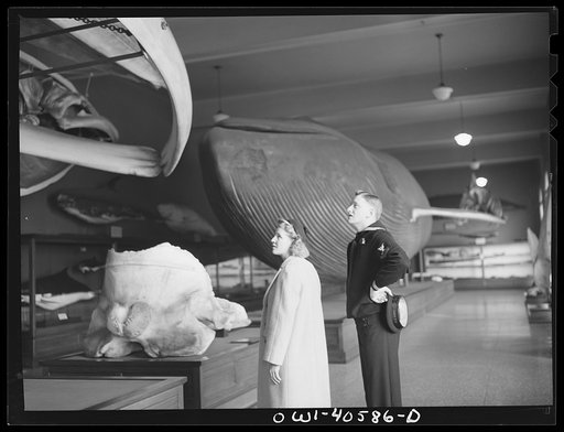 Washington, D.C. Hugh and Lynn Massman sightseeing on their first day in Washington. Their baby is being taken care of in the nursery at the United Nations service center