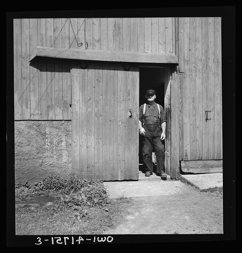 Untitled photo, possibly related to: Southington, Connecticut. Andrew Smedberg came to America twenty-two years ago from Sweden. He was broke when he arrived but by hard work and preseverance was able to acquire what he has today--a thriving dairy farm, earning a "good living" for his family of seve