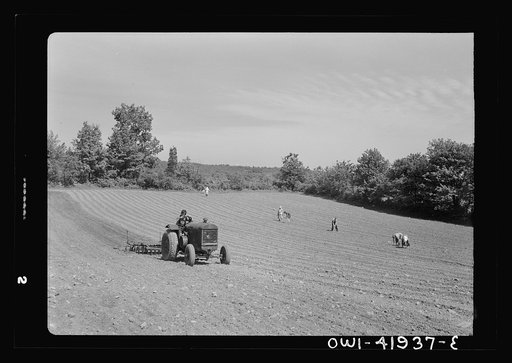 Southington, Connecticut. Farm owned by James Pompey who twenty years ago came from Italy on the advice of a brother. People of Finnish, Slav, German and Polish extraction help him to farm it