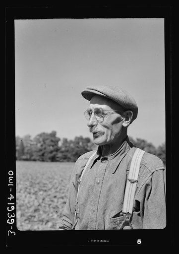 Untitled photo, possibly related to: Southington, Connecticut. Gus Worke, a farmer who came from Germany forty years ago