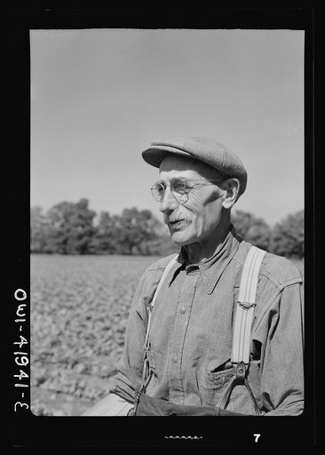 Untitled photo, possibly related to: Southington, Connecticut. Gus Worke, a farmer who came from Germany forty years ago