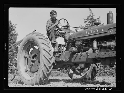 Southington, Connecticut. Farm owned by James Pompey who twenty years ago came from Italy on the advice of a brother. People of Finnish, Slav, German and Polish extraction help him to farm it