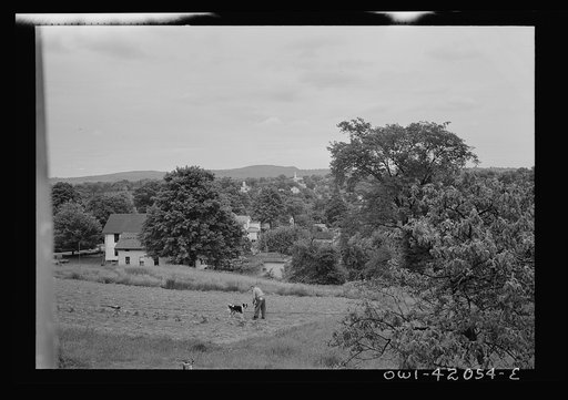 Southington, Connecticut. Orchards and farmland in the surroundings of Southington