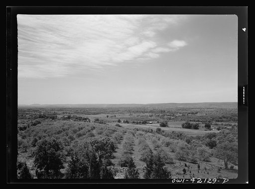 Southington, Connecticut. Orchards and farmland in the surroundings of Southington