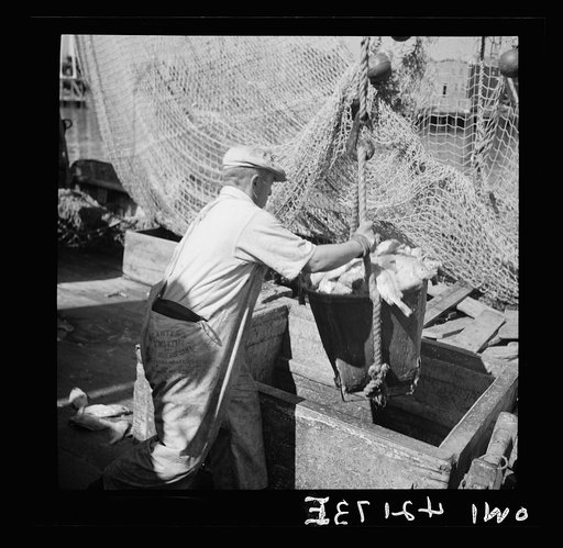 Gloucester, Massachusetts. The ship docked, canvas baskets filled with rosefish go ashore where they will be inspected and weighed, then filleted and frozen and shipped to armed forces in the United States and abroad