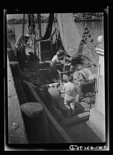 Gloucester, Massachusetts. The ship docked, canvas baskets filled with rosefish go ashore where they will be inspected and weighed, then filleted and frozen and shipped to armed forces in the United States and abroad