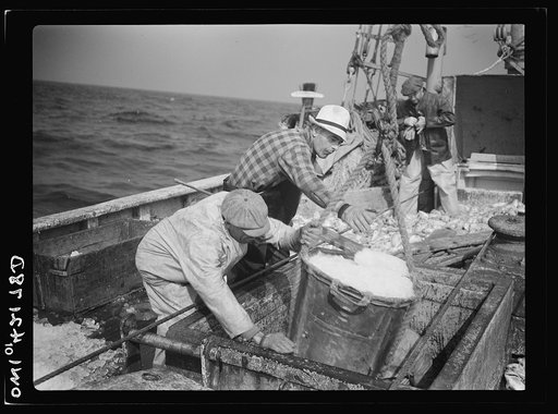 Gloucester, Massachusetts. Crew members throw overboard excess ice from the "Old Glory's" hold. Fishermen allow a proportion of the one ton of ice to three tons of fish. When the catch is unusally large, as on this trip, some ice is removed to make room for the fish