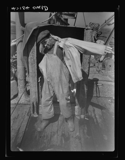 On board a fishing vessel out from Gloucester, Massachusetts. A fisherman coming up from the living quarters below and putting on his oilskins, getting ready to handle the catches that come aboard