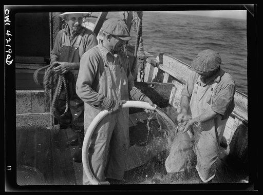 On board a fishing vessel out from Gloucester, Massachusetts. Fishermen on the deck with a hose