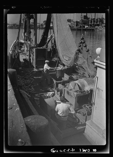 Gloucester, Massachusetts. The ship docked, canvas baskets filled with rosefish go ashore where they will be inspected and weighed, then filleted and frozen and shipped to armed forces in the United States