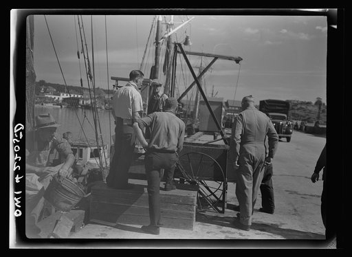 Gloucester, Massachusetts. Unloading fish