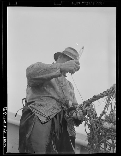 On board a fishing vessel out from Gloucester, Massachusetts. Mending the forward end of the wing of a net