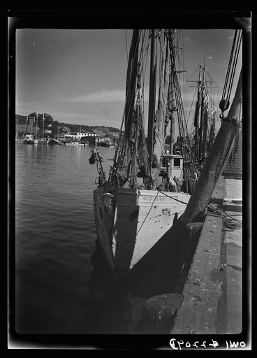 Gloucester, Massachusetts. Heavy nets slide down Old Glory's side at fishing grounds off the New England coast where rosefish are being sought. This species of fish can be caught only in the daytime