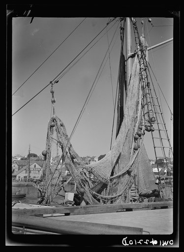 Gloucester, Massachusetts. Heavy nets slide down Old Glory's side at fishing grounds off the New England coast where rosefish are being sought. This species of fish can be caught only in the daytime