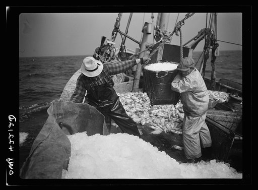 Gloucester, Massachusetts. Crew members throw overboard excess ice from "Old Glory's" hold. Fishermen allow a proporation of one ton of ice to three tons of fish. When the catch is unusally large, as on this trip, some ice is removed to make room for the fish