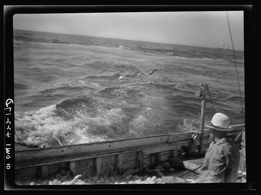 On board a fishing vessel out from Gloucester, Massachusetts. View of choppy waters