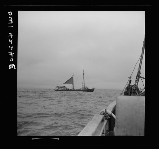 On board a fishing vessel out from Gloucester, Massachusetts. A converted line trawler