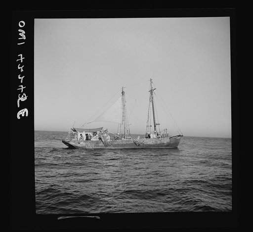 On board a fishing vessel out from Gloucester, Massachusetts. A Nantucket dragger, or New England type otter trawler, the "Theresa and Dan"