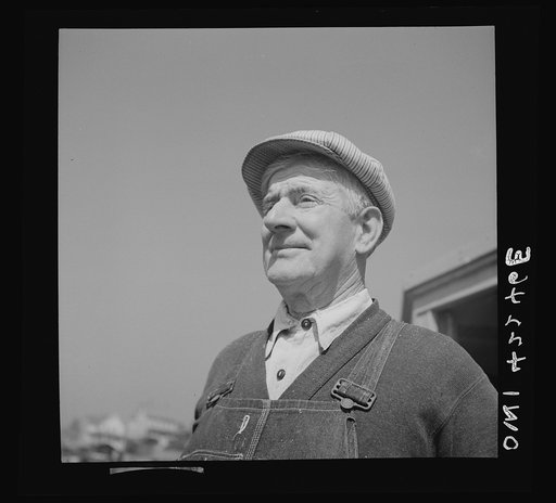 Gloucester, Massachusetts. A shore worker engaged in the fish packing industry