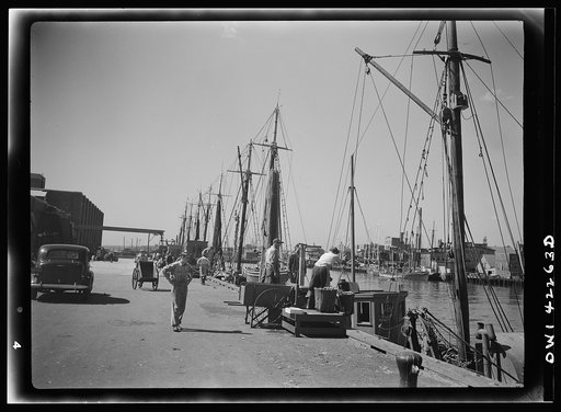Gloucester, Massachusetts. On board a fishing vessel. Vessels unloading fish at a wharf