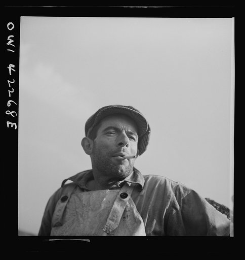 Gloucester, Massachusetts. On board a fishing vessel. Portrait of a fisherman