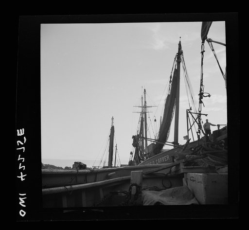 Gloucester, Massachusetts. The deck of a fishing boat drawn up alongside a weighing deck