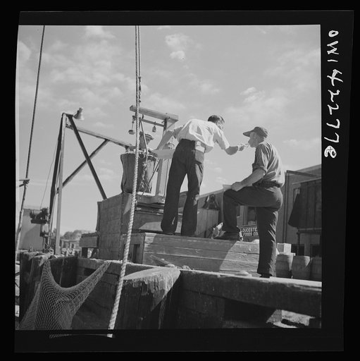 Gloucester, Massachusetts. Loading fish onto a wharf