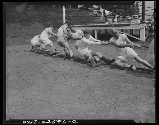 Travers Island, New York. Norwegian Independence Day celebration at the Norwegian gunners' school. Tug of war